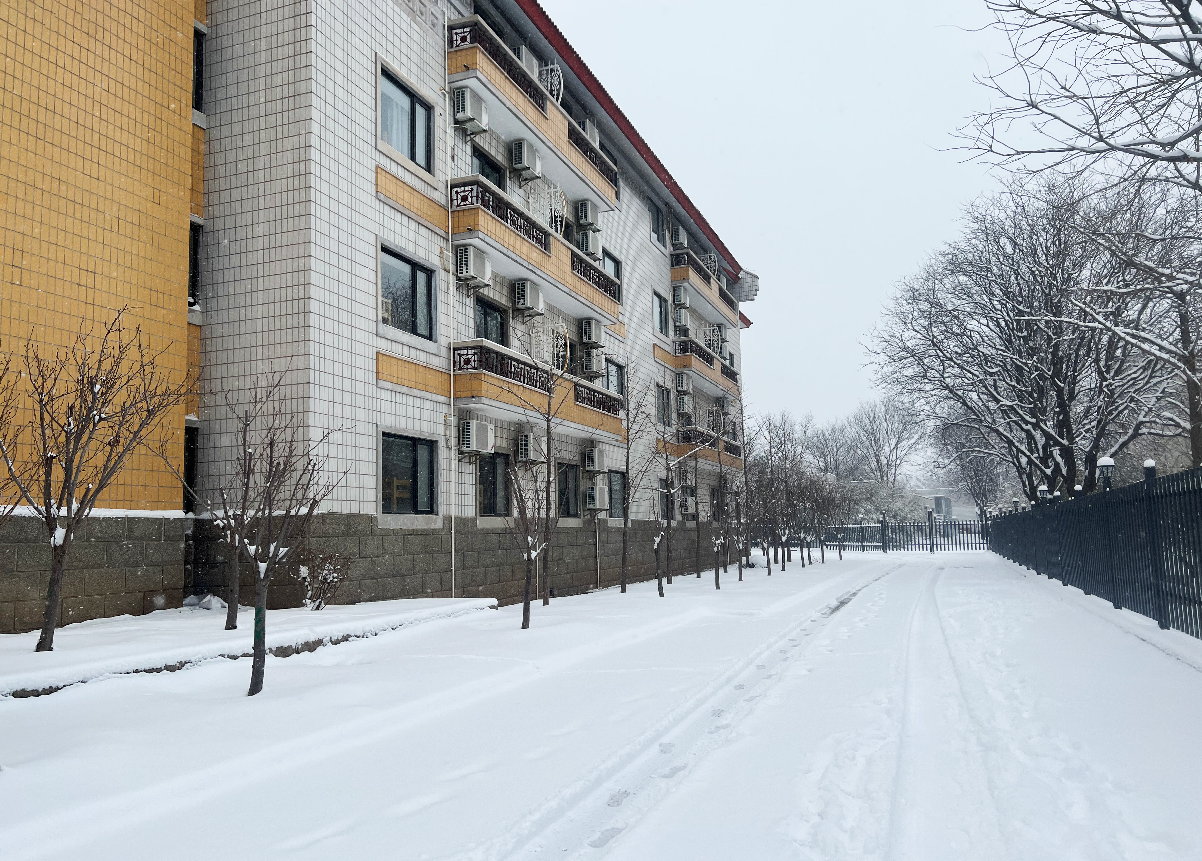 北京東方紅學(xué)校雪景